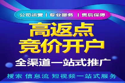 百度竞价赚钱技巧：案例分析